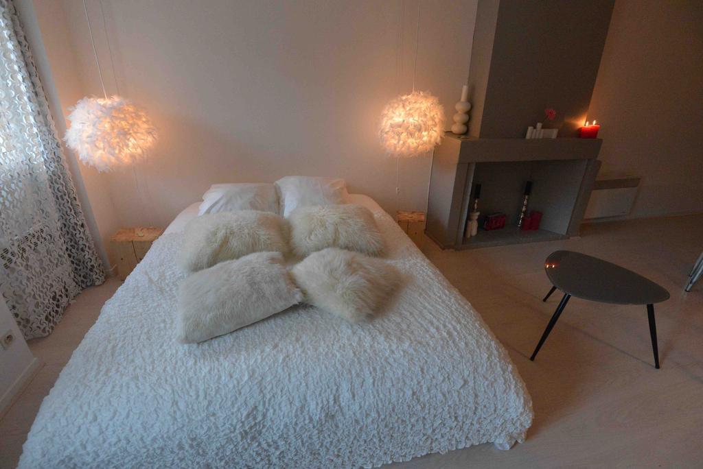 "Un Lieu Unique" Le Cozy Daire Annecy Oda fotoğraf